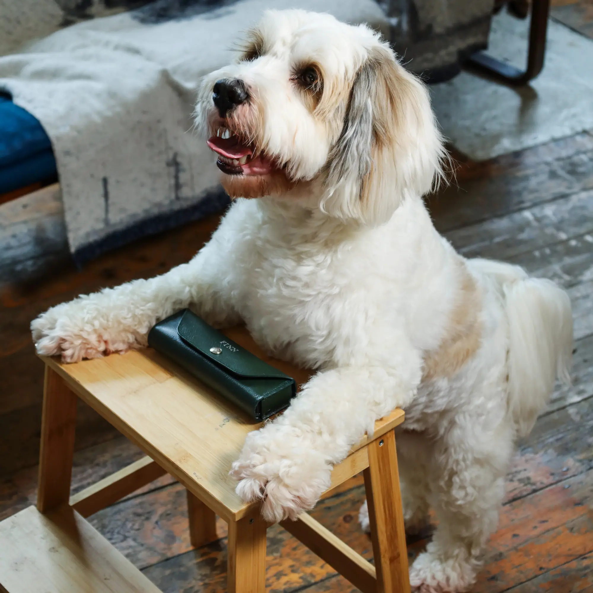 Capra Large Pet Pill Case - Image 29