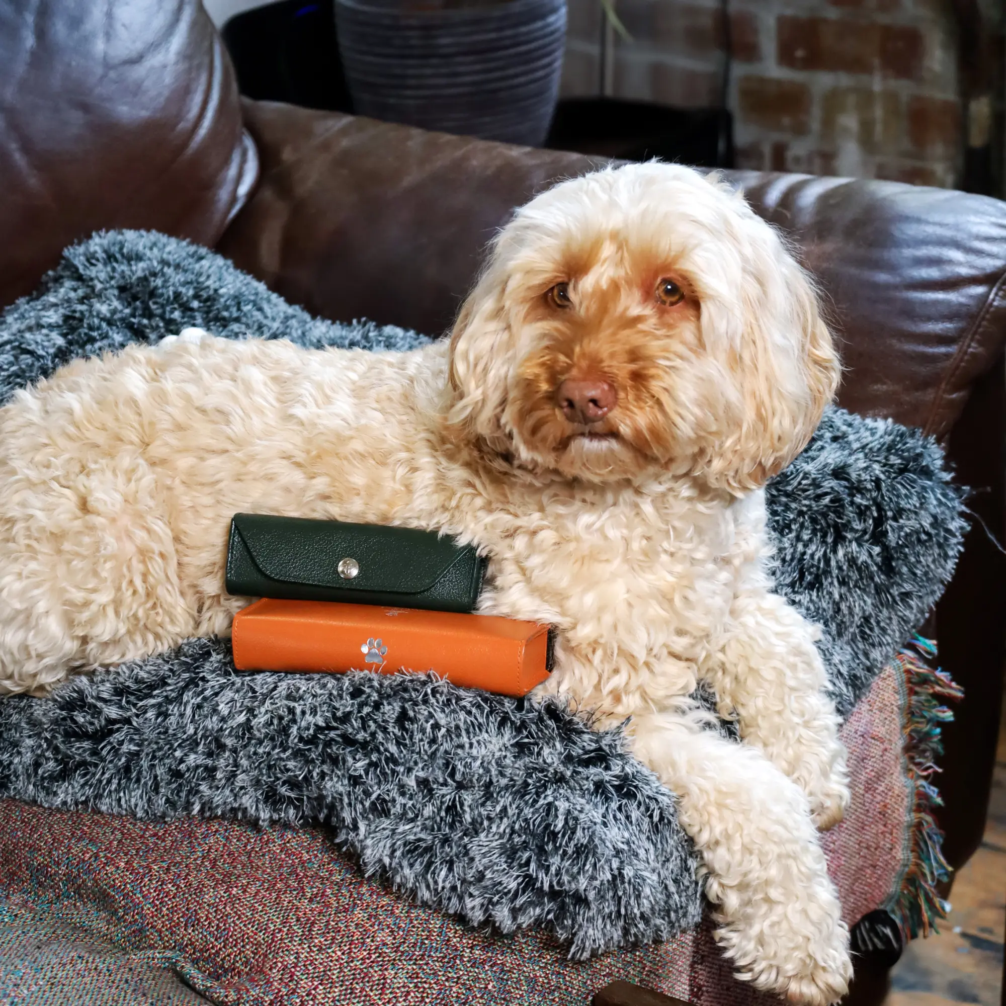 Capra Small Pet Pill Case - Image 14